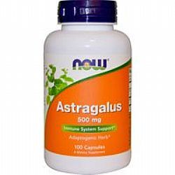 Now Astragalus 500mg 100caps