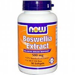 Now Boswellia Extract 500mg 90Softgels