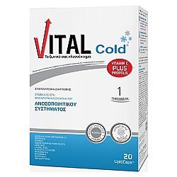 Vital Cold 20caps